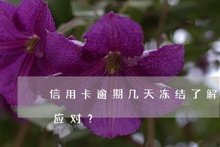 信用卡逾期几天冻结了解决办法：如何办理与应对？