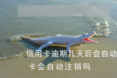 信用卡逾期几天后会自动销户吗(过期的信用卡会自动注销吗)
