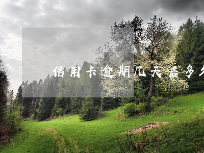 信用卡逾期几天后多久洗白(信用卡 逾期 几天)