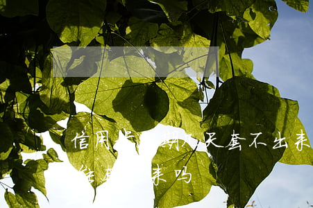 信用卡逾期几天套不出来(信用卡逾期一天还能套出来吗)