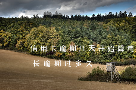 信用卡逾期几天开始算违约(你们的信用卡最长逾期过多久)