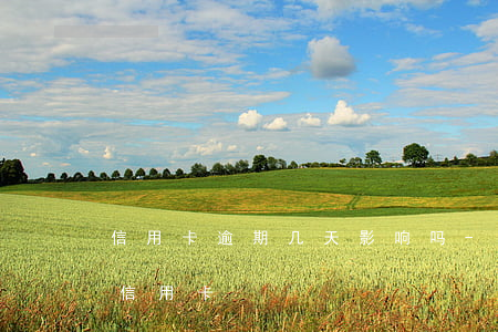 信用卡逾期几天影响吗-逾期过多久才能办信用卡
