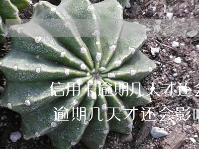 信用卡逾期几天才还会影响征信么-信用卡逾期几天才还会影响征信么吗