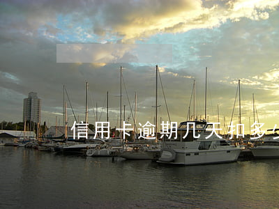 信用卡逾期几天扣多少钱(信用卡逾期几块钱)