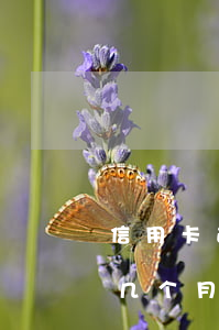 信用卡逾期几天有什么后果嘛(欠信用卡逾期几个月会立案)