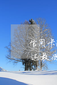 信用卡逾期几天能还最低(信用卡逾期几天能还最低吗)