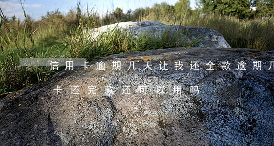 信用卡逾期几天让我还全款(逾期几年的信用卡还完款还可以用吗)
