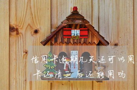 信用卡逾期几天还可以用吗(逾期很久的信用卡还清之后还能用吗)