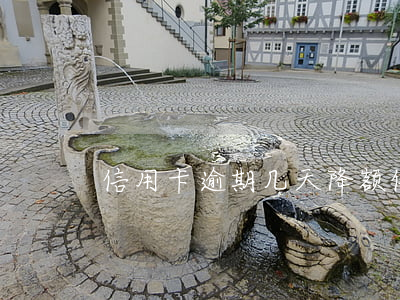 信用卡逾期几天降额 信用卡逾期几天降额度