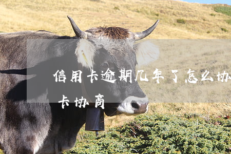 信用卡逾期几年了怎么协商(逾期很久的信用卡协商)