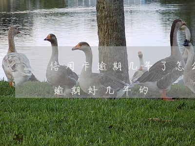 信用卡逾期几年了怎么没起诉 有没有信用卡逾期好几年的
