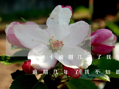 信用卡逾期几年了我不知道怎么办-信用卡逾期几年了我不知道怎么办呢