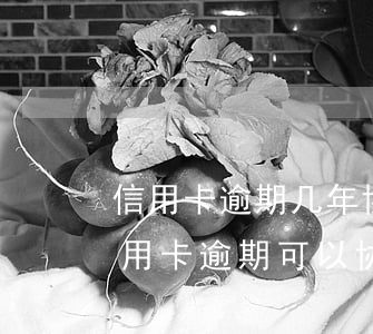 信用卡逾期几年协商还款几率大嘛 四大行信用卡逾期可以协商还款吗