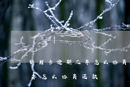 信用卡逾期几年怎么协商还款(信用卡逾期几年怎么协商还款)