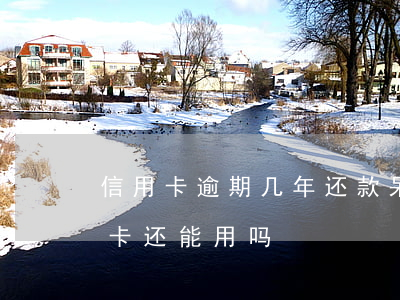 信用卡逾期几年还款呆账吗(呆账还完了信用卡还能用吗)