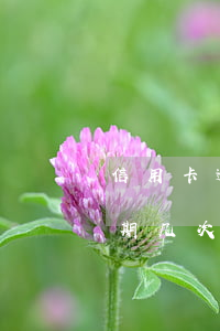 信用卡逾期几次会对房贷产生影响(信用卡逾期几次会对房贷产生影响)