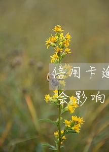 信用卡逾期几次会影响信用(信用卡逾期几次会影响信用贷款吗)