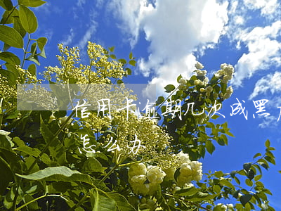 信用卡逾期几次成黑户 因为年卡逾期成黑户怎么办