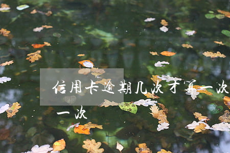 信用卡逾期几次才算一次(信用卡多久算逾期一次)