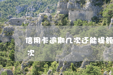 信用卡逾期几次还能提额(信用卡可以逾期几次)