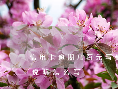信用卡逾期几百元写情况说明(银行逾期情况说明怎么写)