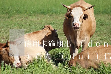 信用卡逾期出動(dòng)經(jīng)查大隊(duì)(信用卡逾期移交經(jīng)偵大隊(duì)怎么處理)