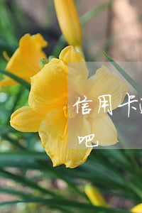 信用卡逾期出国打工吧(信用卡逾期出国打工吧)