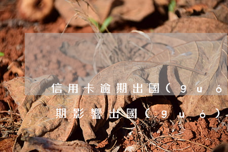 信用卡逾期出國(guó)受影響嗎(征信逾期影響出國(guó)嗎)