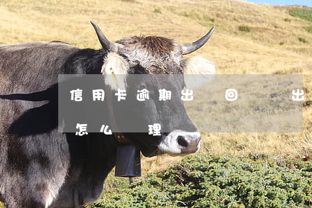 信用卡逾期出國回來還 出國后信用卡逾期了怎么處理