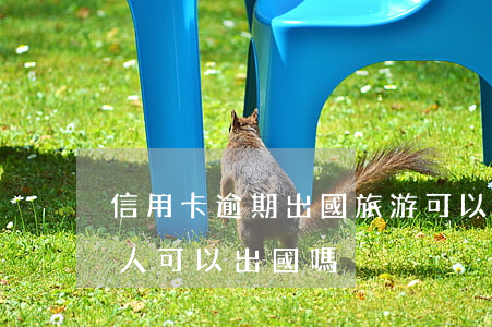 信用卡逾期出國旅游可以嗎(有信用卡逾期的人,可以出國嗎)