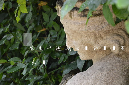 信用卡逾期出國的簽證(有信用逾期的能不能出國)