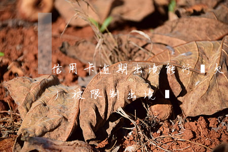 信用卡逾期出境能行嗎 欠信用卡會(huì)被限制出境嗎