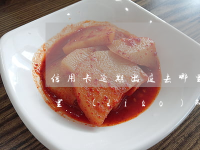 信用卡逾期出庭去哪里(信用卡逾期出庭去哪里調(diào)解)