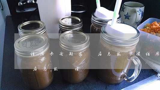 信用卡逾期出獄后怎么處理(信用卡逾期出獄后怎么處理)