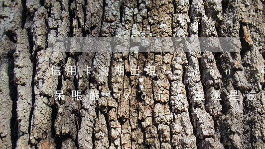信用卡逾期出現(xiàn)呆賬怎么處理 呆賬嚴(yán)重還是逾期嚴(yán)重