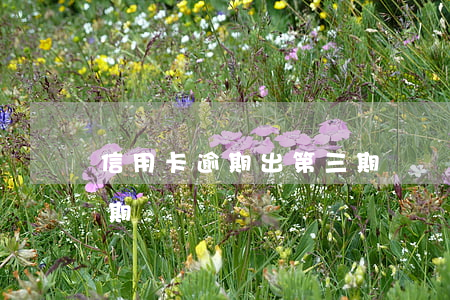 信用卡逾期出第三期賬單（信用卡逾期出第三期賬單）