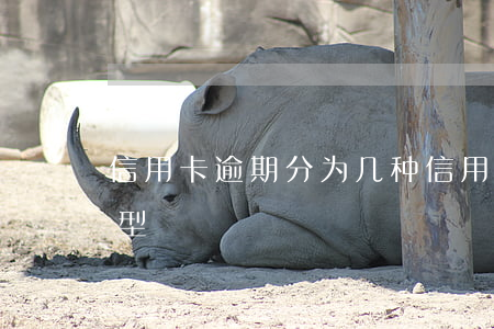 信用卡逾期分为几种(信用卡逾期分为几种类型)