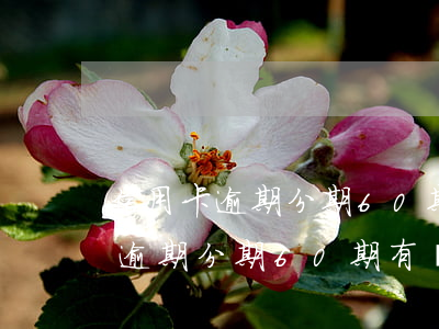 信用卡逾期分期60期有沒有利息-信用卡逾期分期60期有沒有利息啊