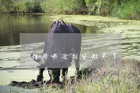 信用卡逾期分期不了嗎貼吧-信用分期說我逾期