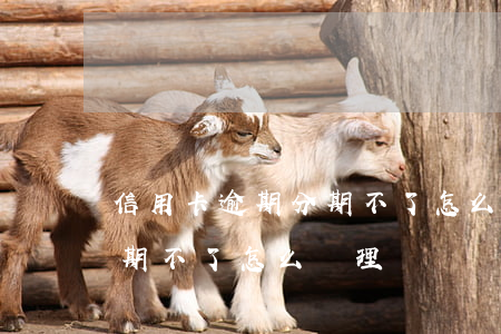 信用卡逾期分期不了怎么辦-信用卡逾期分期不了怎么辦理