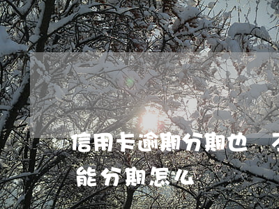 信用卡逾期分期也還不起(信用卡還不起還不能分期怎么辦)