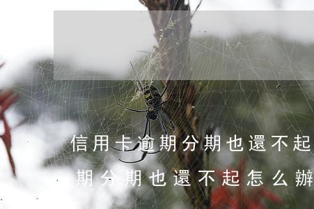 信用卡逾期分期也還不起怎么辦-信用卡逾期分期也還不起怎么辦呢