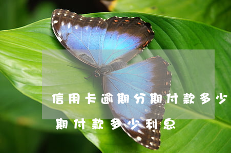 信用卡逾期分期付款多少利息(信用卡逾期分期付款多少利息)