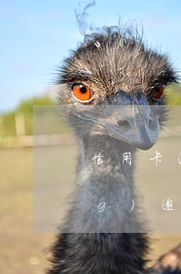 信用卡逾期分期劃算嗎怎么辦(已經(jīng)逾期的信用卡如何辦理分期)