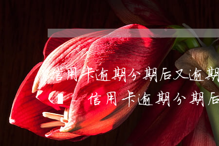 信用卡逾期分期后又逾期會(huì)怎么樣-信用卡逾期分期后又逾期會(huì)怎么樣嗎