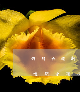信用卡逾期分期往后還幾天可以嗎-信用卡逾期分期往后還幾天可以嗎