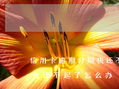 信用卡逾期分期快还不起了(信用卡逾期分期快还不起了怎么办)