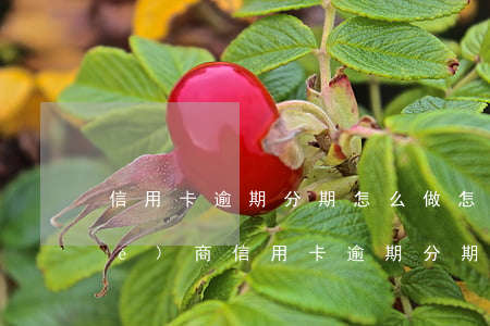 信用卡逾期分期怎么做(怎么去銀行協(xié)商信用卡逾期分期)