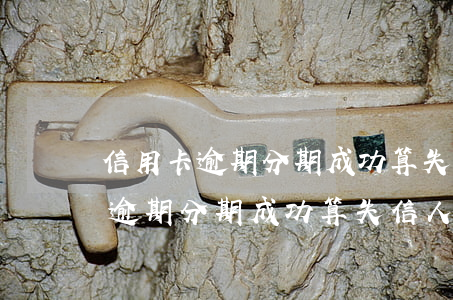 信用卡逾期分期成功算失信人員嗎-信用卡逾期分期成功算失信人員嗎怎么辦