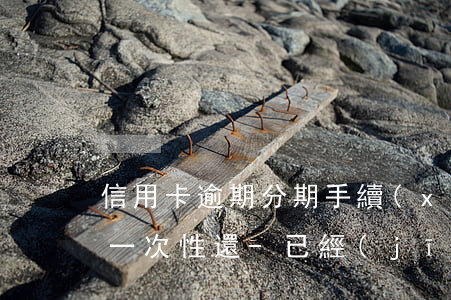 信用卡逾期分期手續(xù)費(fèi)一次性還-已經(jīng)逾期的信用卡如何辦理分期